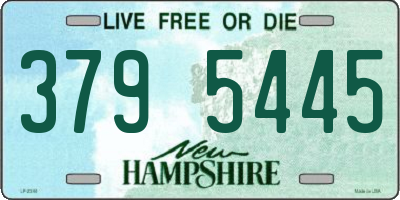 NH license plate 3795445