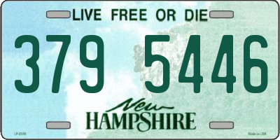 NH license plate 3795446