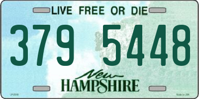 NH license plate 3795448