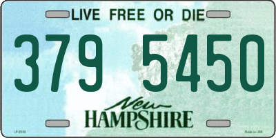 NH license plate 3795450