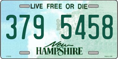 NH license plate 3795458