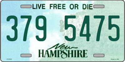 NH license plate 3795475