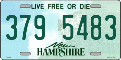 NH license plate 3795483