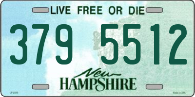 NH license plate 3795512