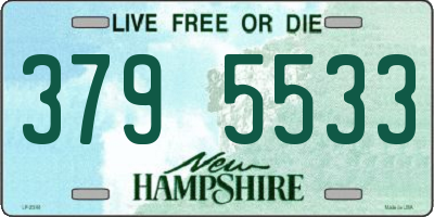 NH license plate 3795533