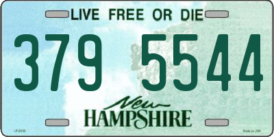 NH license plate 3795544