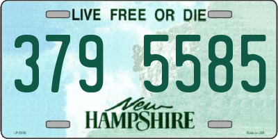 NH license plate 3795585