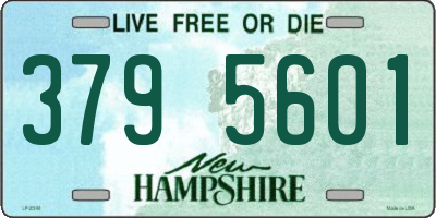 NH license plate 3795601