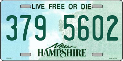 NH license plate 3795602