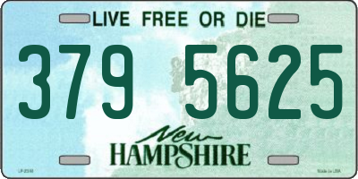 NH license plate 3795625