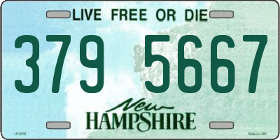 NH license plate 3795667