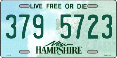 NH license plate 3795723