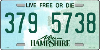 NH license plate 3795738