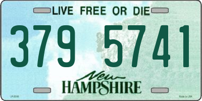 NH license plate 3795741