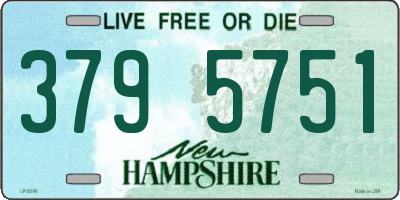 NH license plate 3795751