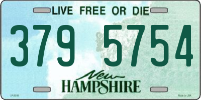 NH license plate 3795754