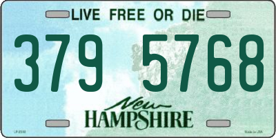 NH license plate 3795768