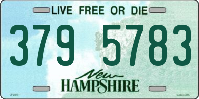 NH license plate 3795783