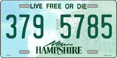 NH license plate 3795785