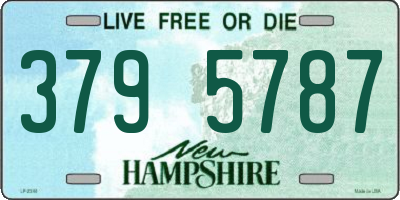 NH license plate 3795787