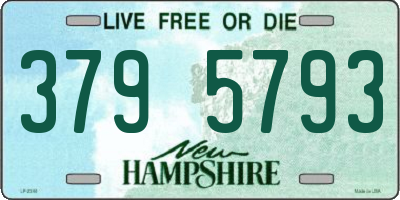 NH license plate 3795793