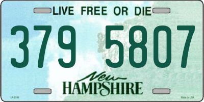 NH license plate 3795807