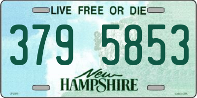 NH license plate 3795853