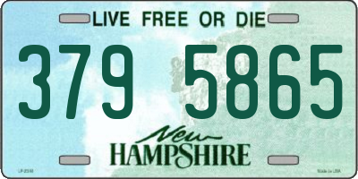 NH license plate 3795865