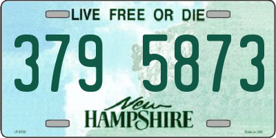 NH license plate 3795873