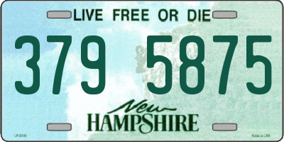 NH license plate 3795875