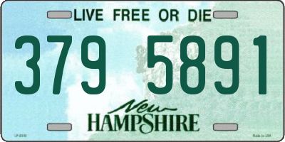 NH license plate 3795891
