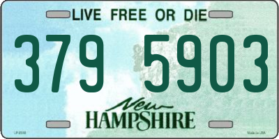 NH license plate 3795903