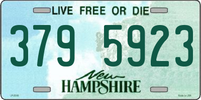 NH license plate 3795923