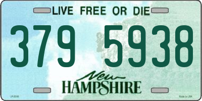 NH license plate 3795938
