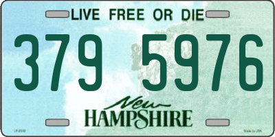 NH license plate 3795976