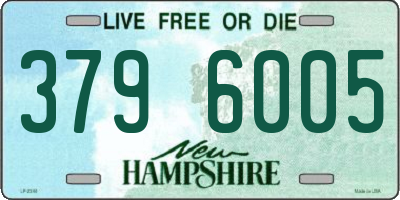 NH license plate 3796005