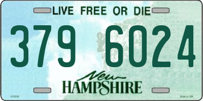 NH license plate 3796024