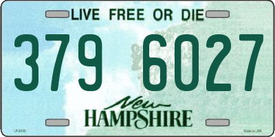 NH license plate 3796027