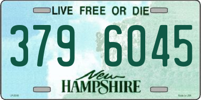 NH license plate 3796045