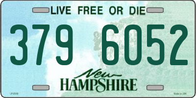NH license plate 3796052