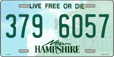 NH license plate 3796057