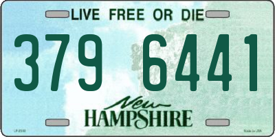 NH license plate 3796441
