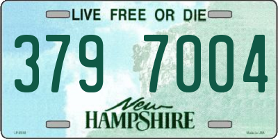 NH license plate 3797004