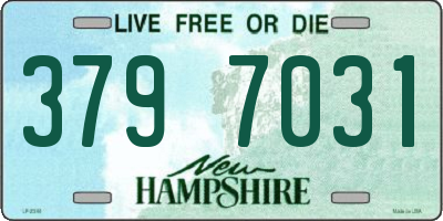 NH license plate 3797031