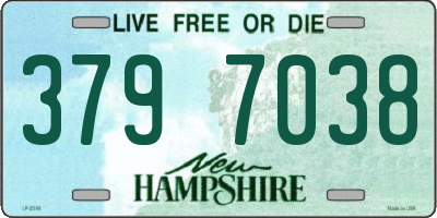 NH license plate 3797038