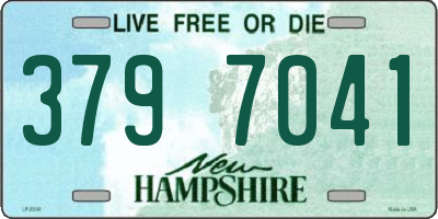 NH license plate 3797041