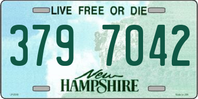 NH license plate 3797042