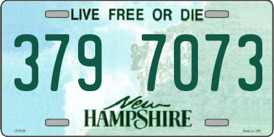 NH license plate 3797073