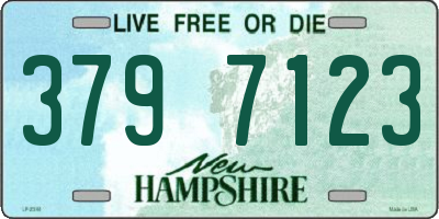 NH license plate 3797123