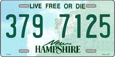 NH license plate 3797125